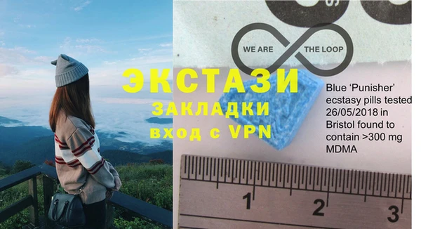 стаф Тутаев